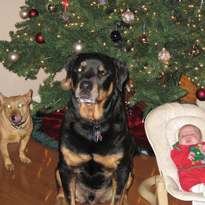 Meet your Posher, Gerard